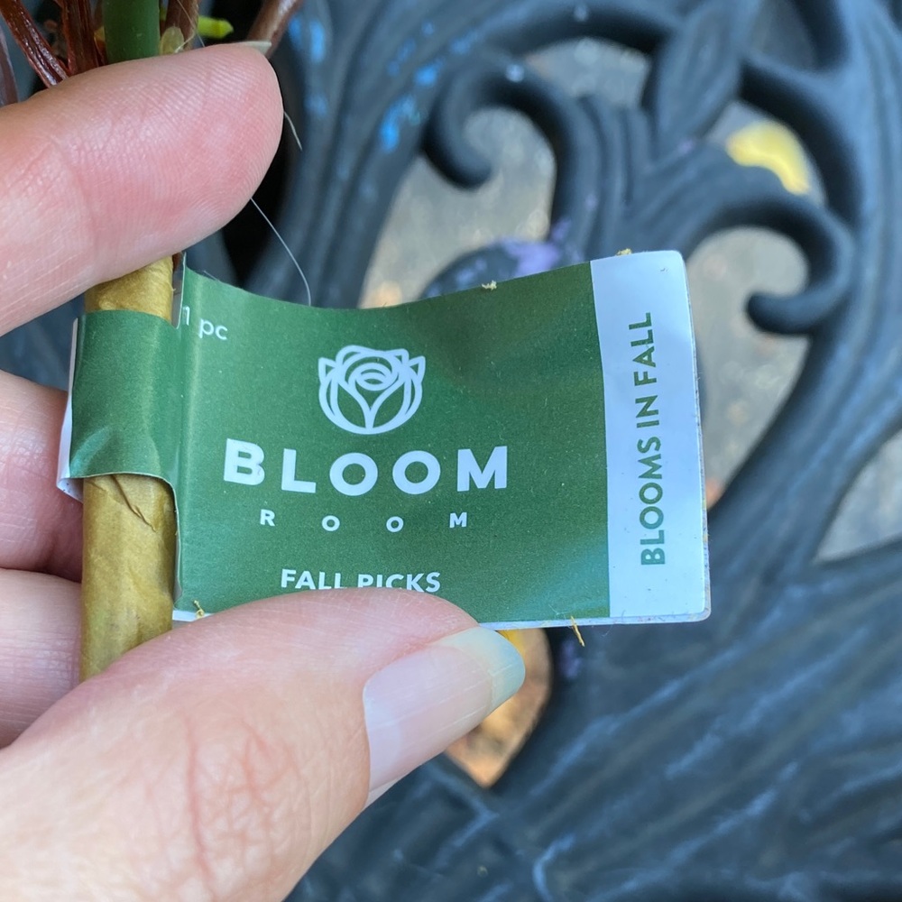 Bloom Room Fall Sunflower and berry Picks - Picture 3 of 6